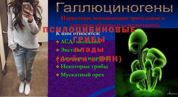 а пвп мука Алзамай